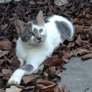 Meet your Posher, Danny